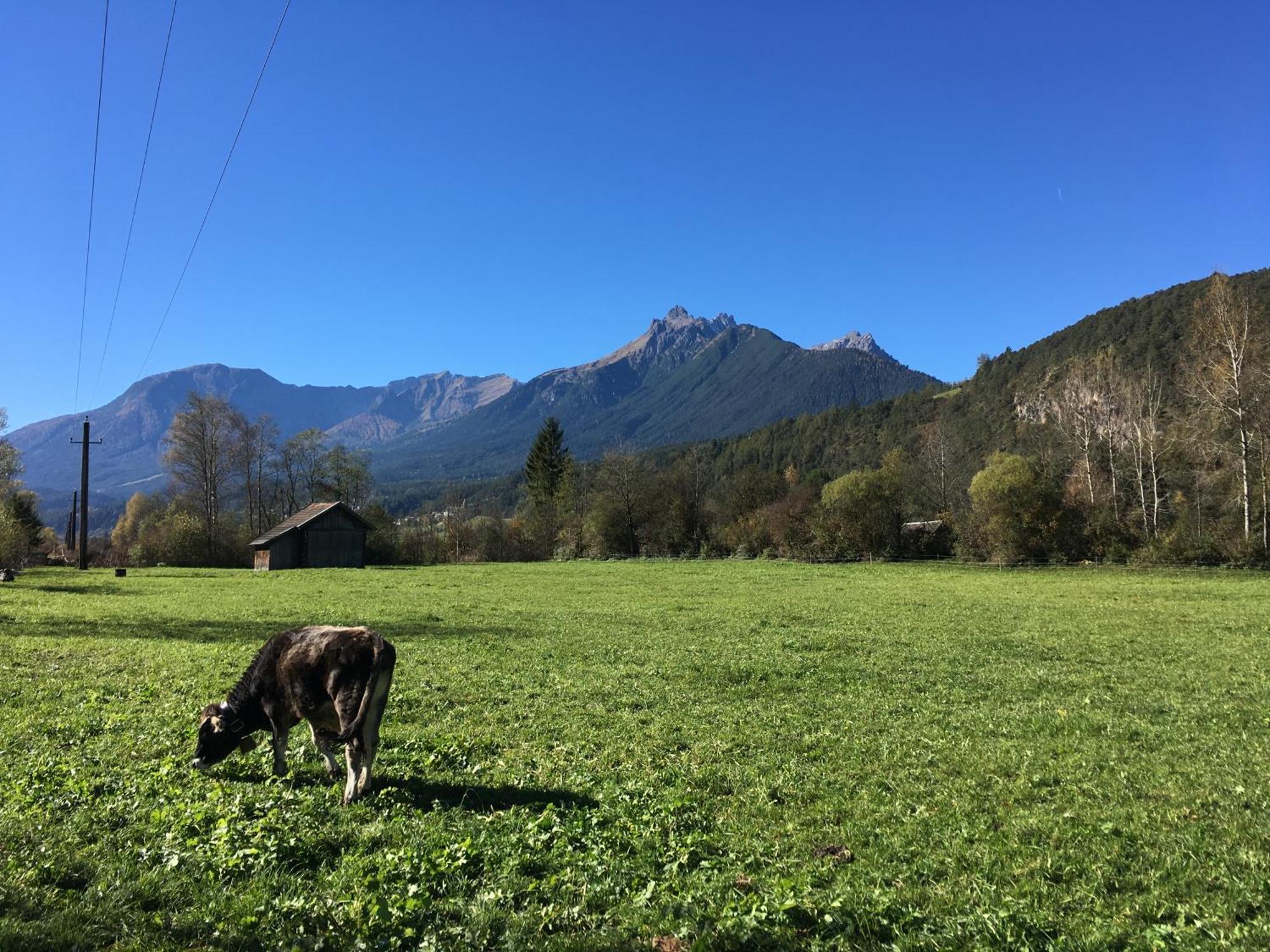 Haus Gamper-Haselwanter Apartment Tarrenz Bagian luar foto